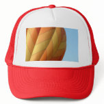 Balloon!  Bright orange! hats