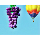 Balloon Feastival Hot Air Cluster Sky Photo Cutout