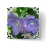 Balloon Flower Blossom Square Pin
