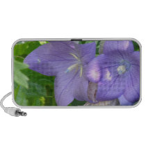 Balloon Flowers Speakers speakers