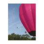 Balloon, in the pink 2 xlta postcard