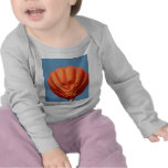Balloon lifting off 2 t shirts