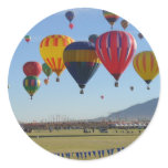Ballooning Round Stickers