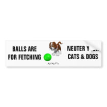Balls Are For Fetching