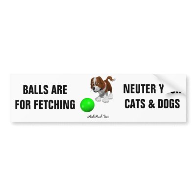 Balls Are For Fetching by MishMoshTees
