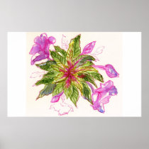 Balsam Bouquet