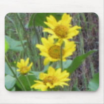 Balsam Root Bouquet Mousepad