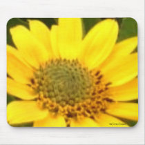 Balsam Root Mousepad