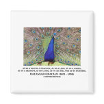Baltasar Gracian At 20 A Man Is A Peacock Quote Fridge Magnet