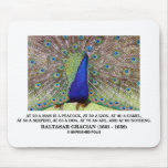 Baltasar Gracian At 20 A Man Is A Peacock Quote mousepads