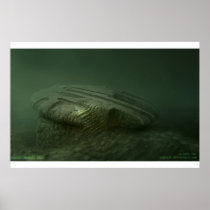 baltic Anomaly 2012 posters