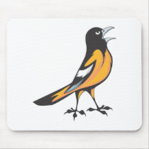 Baltimore Oriole Bird