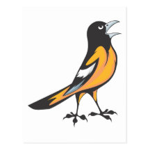 Baltimore Oriole Bird Post Card