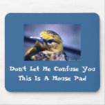 Baltimore Oriole, Female Mouse Pad