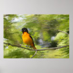 Baltimore Orioles DayDream Poster
