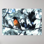 Baltimore Orioles Dream Poster