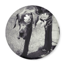 Balu hinter Cosmea Fridge Magnet