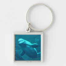 Baluga Whale Key Chains