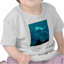 Baluga Whale Tee Shirts