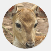 Bambi Deer Sticker