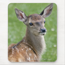 Bambi Mousemat