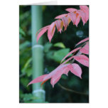Bamboo and Leaves. Greeting Card