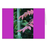 Bamboo and Leaves. Greeting Card