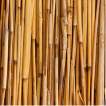 Bamboo Background Photo Sculpture