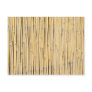 Bamboo background postcard