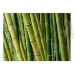 Bamboo Card