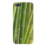 Bamboo Cases For iPhone 5
