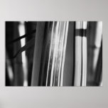 Bamboo closeup posters