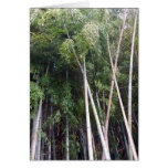 Bamboo Dance Greeting Card
