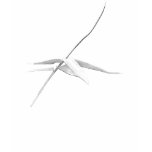 Bamboo drawing - shirt