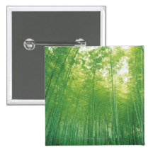 Bamboo Forest 2 Pins