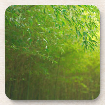 Bamboo forest drink coasters
