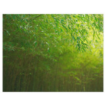 Bamboo forest flyers