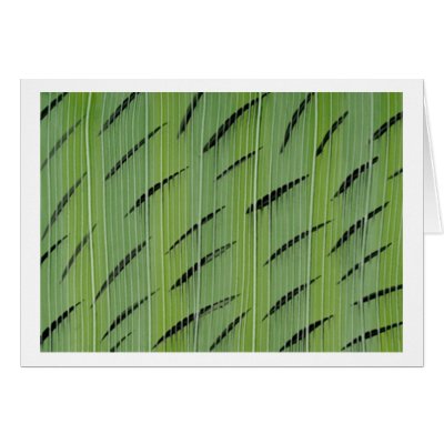 Bamboo Greens Card by mkelzer