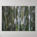 Bamboo posters