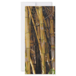 Bamboo Full Color Rack Card
