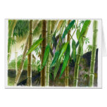 Bamboo stalks greeting cards