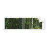 Bamboo Thicket. Bumper Stickers