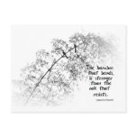 Bamboo Tree with Two Birds Bends in the Wind postcards