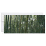 Bamboos Custom Rack Cards