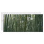 Bamboos Custom Rack Cards