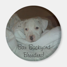 Ban Backyard Breeders! Fridge Magnets