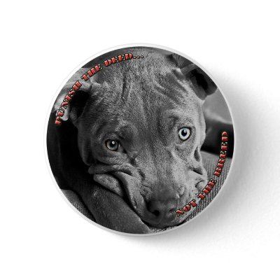 Ban BSL! Pinback Buttons by rdh1079