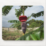 Banana Bloom Mouse Mat