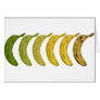 Banana Evolution