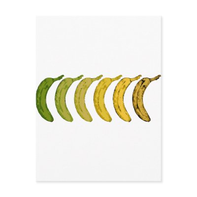 Banana Evolution by GrinBay